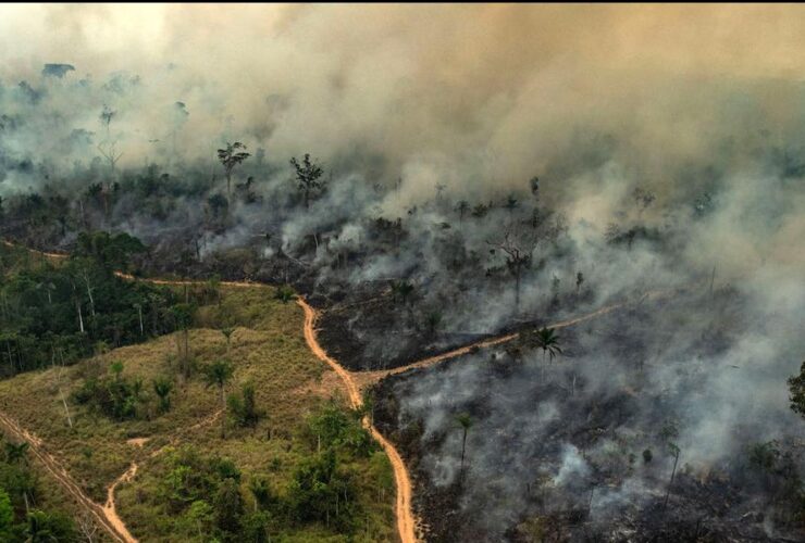 Foto de uma área de floresta em chamas, no município de Altamira.