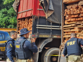 Madeira sendo transportada ilegalmente