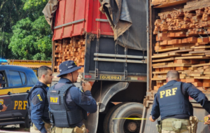 Madeira sendo transportada ilegalmente