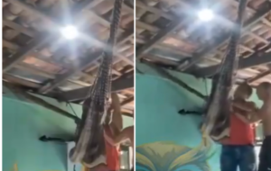 Homens puxando a cobra