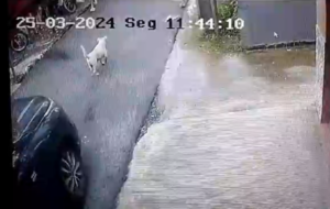 imagem de camera de segurança