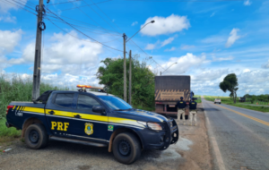 carro da prf