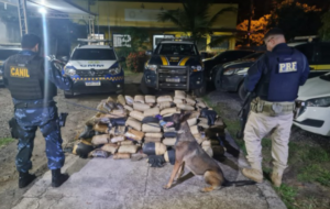 Policiais apreendendo maconha