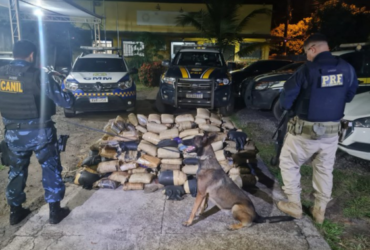 Policiais apreendendo maconha