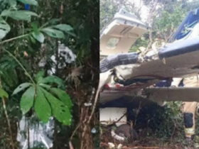 Avião destruído em meio à mata