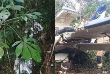 Avião destruído em meio à mata