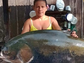 Pescadora com um grande tambaqui