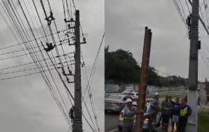 Preguiça sendo resgatada de fio elétrico.