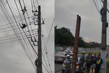 Preguiça sendo resgatada de fio elétrico.