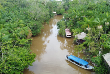 Ilha do Combu vista de cima