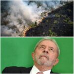 Lula diante do PL da devastação: sanciona ou veta?