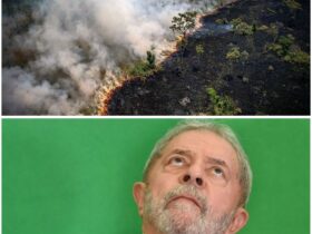 Lula diante do PL da devastação: sanciona ou veta?