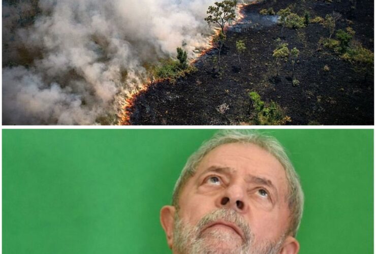 Lula diante do PL da devastação: sanciona ou veta?