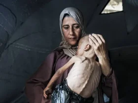 Segundo relatos de médicos, jornalistas e observadores internacionais em Gaza, mães têm implorado por leite em fórmula na porta dos hospitais para alimentar seus bebês com fome.
