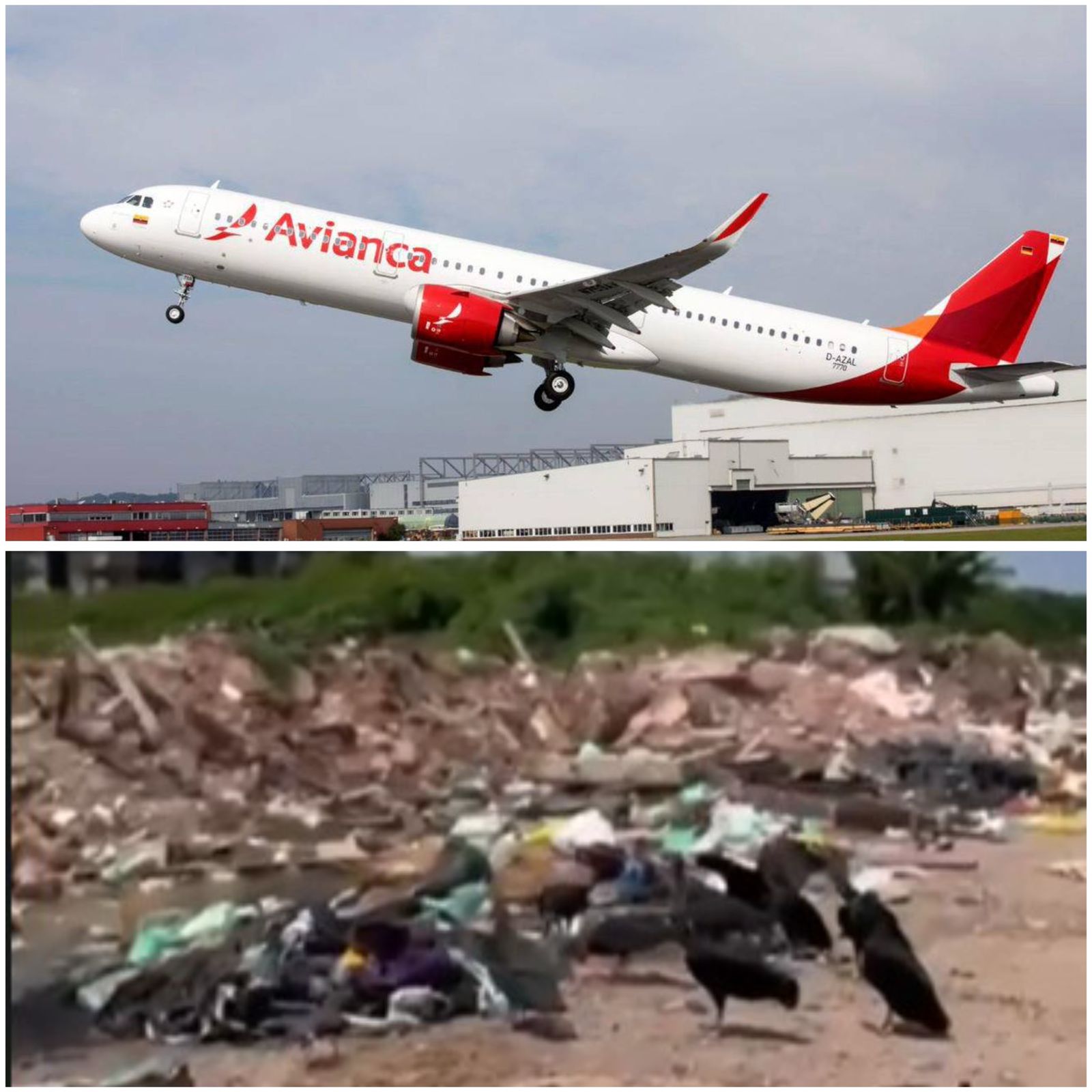 Acúmulo de resíduos atrai aves e eleva o risco de colisão aeronáutica em Belém