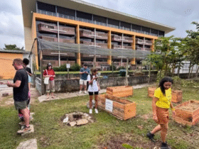 Divulgação - PCT Guamá