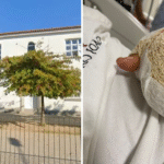 Montagem com duas imagens. À esquerda, a fachada da Escola Básica de Fonte Coberta, em Portugal, com prédio branco, janelas e uma árvore em frente. À direita, a mão de uma criança com curativo espesso após amputação parcial de dois dedos, vista sobre um lençol hospitalar.