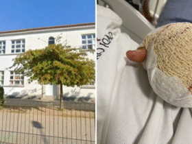 Montagem com duas imagens. À esquerda, a fachada da Escola Básica de Fonte Coberta, em Portugal, com prédio branco, janelas e uma árvore em frente. À direita, a mão de uma criança com curativo espesso após amputação parcial de dois dedos, vista sobre um lençol hospitalar.