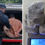 Homem preso pela Polícia Militar, sem blusa, apenas de bermuda, dentro do camburão policial