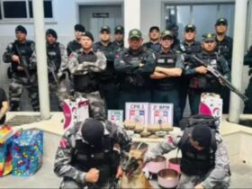 Policiais militares em pose para fotografar maconha apreendida