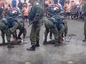policiais abaixados pegando o jacaré