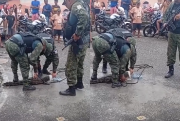 policiais abaixados pegando o jacaré