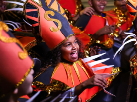 Menina fantasiada para o carnaval