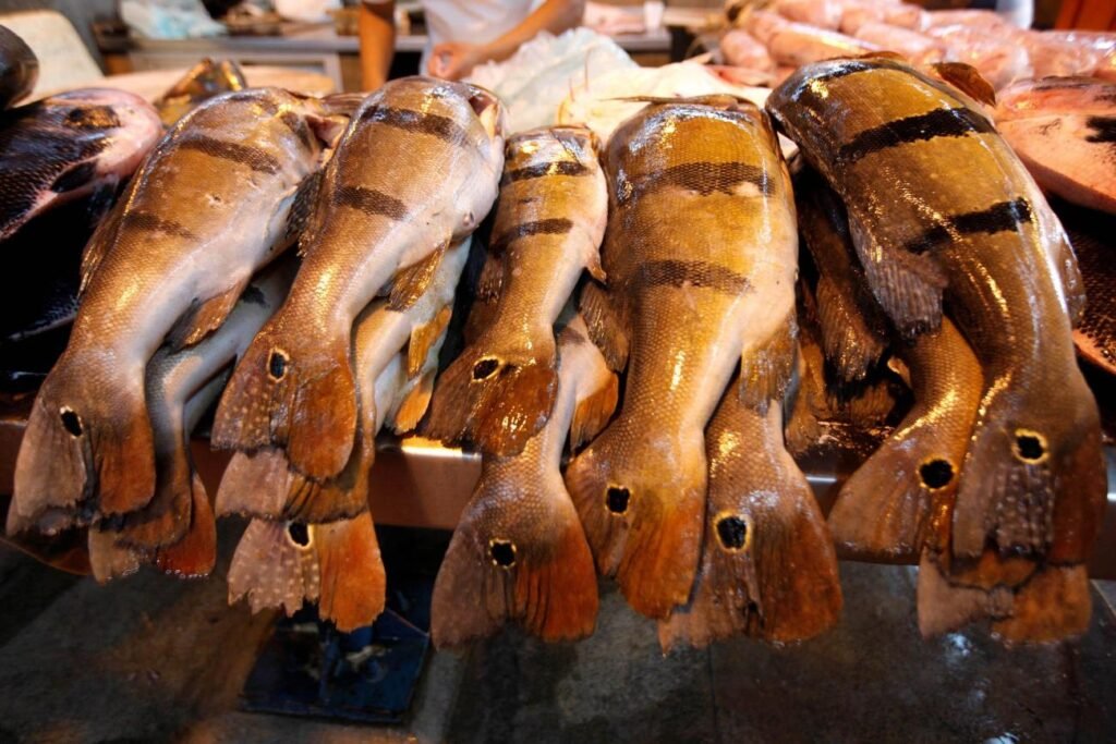 Pescado é vendido na Pedra do Peixe, em Belém.