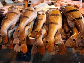 Pescado é vendido na Pedra do Peixe, em Belém.