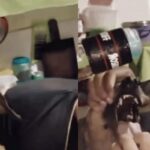 Adolescentes forçam cachorro a ingerir bebida alcoólica em Capanema.