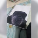Caderno macaco