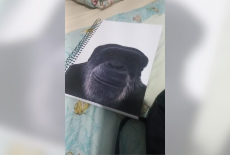 Caderno macaco