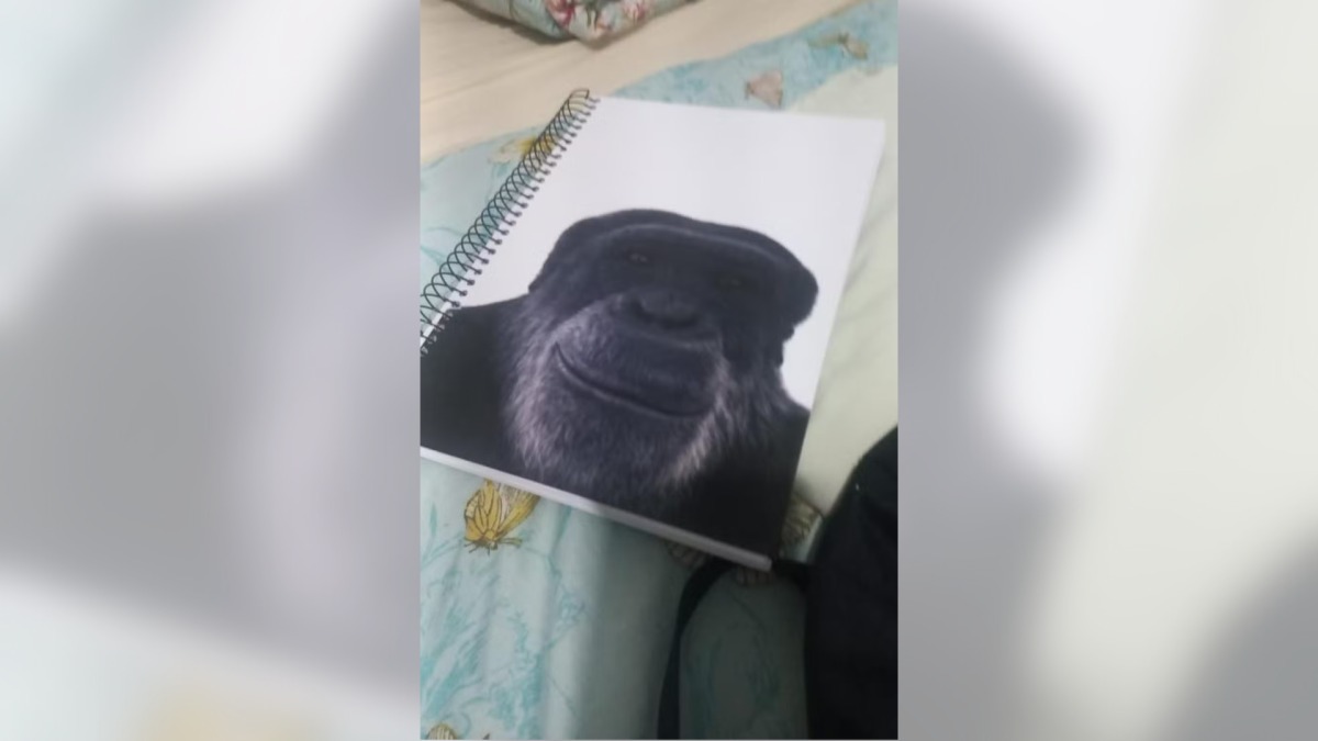 Caderno macaco
