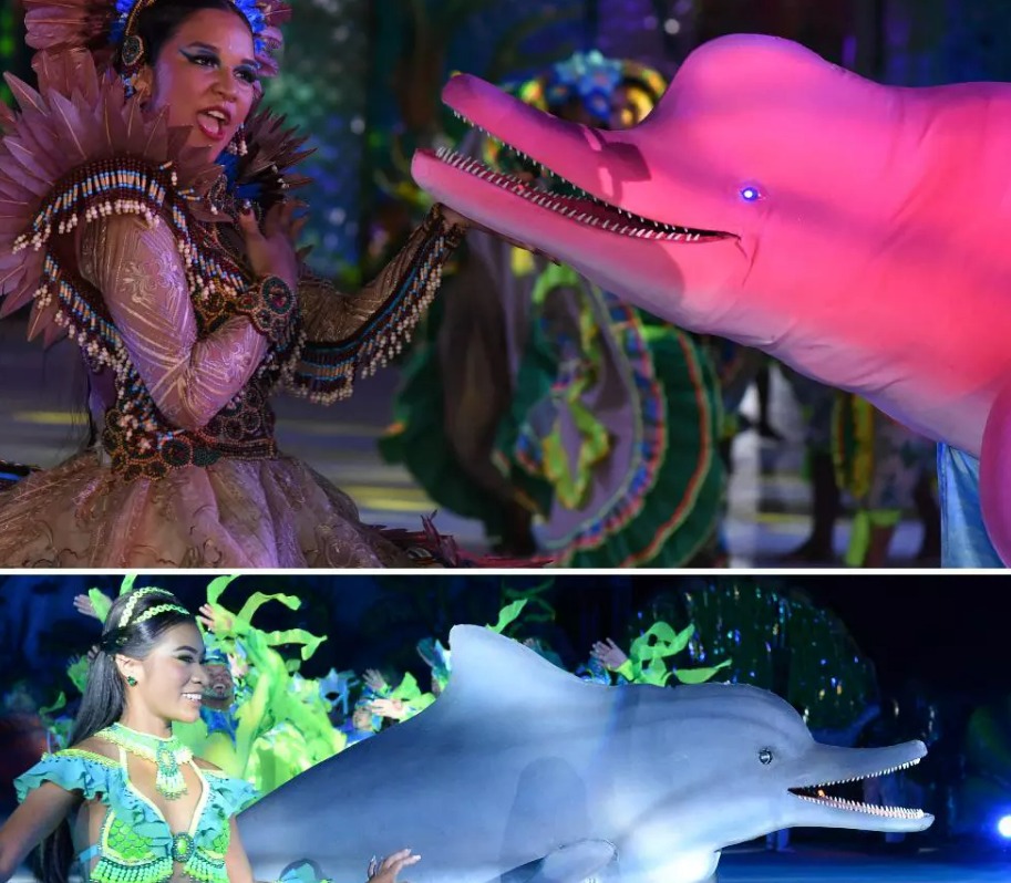 Botos Tucuxi e Cor de Rosa
Fotos: Bruno Pelisser