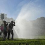 Brigadistas atuam no combate a incêndios florestais.