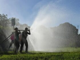 Brigadistas atuam no combate a incêndios florestais.