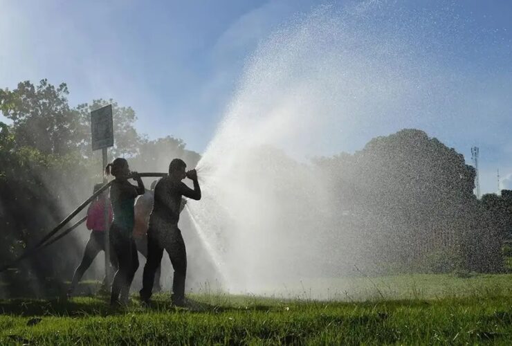 Brigadistas atuam no combate a incêndios florestais.