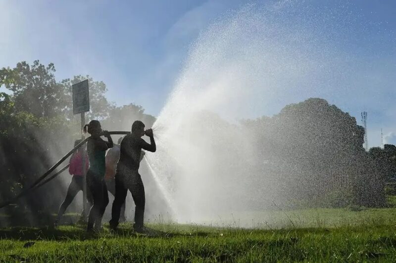 Brigadistas atuam no combate a incêndios florestais.