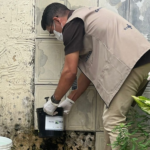 agente de saúde colocando a armadilha