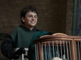 Personagem Harry Potter correndo com o carrinho com a coruja Edwiges
