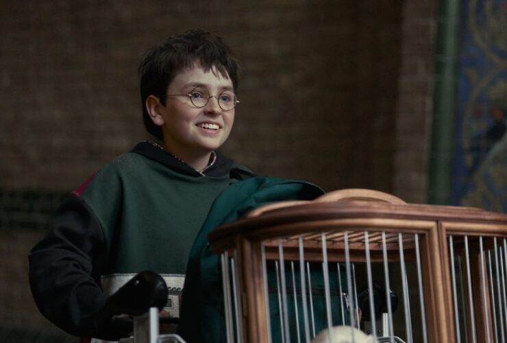 Personagem Harry Potter correndo com o carrinho com a coruja Edwiges
