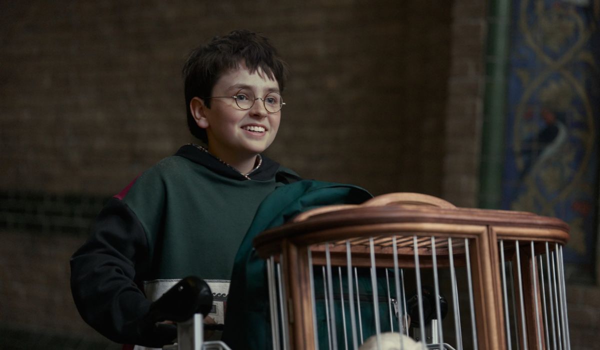 Personagem Harry Potter correndo com o carrinho com a coruja Edwiges