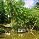 Justiça determina prazos para regularização de terras quilombolas no Marajó