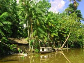 Justiça determina prazos para regularização de terras quilombolas no Marajó