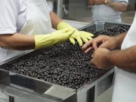 Fiscalização em ponto de venda de açaí.