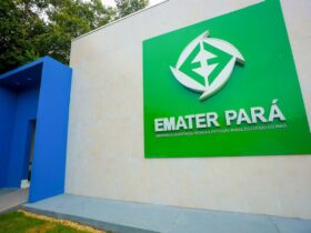 PSS tem vagas para níveis fundamental, médio e superior.