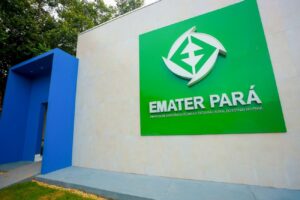 PSS tem vagas para níveis fundamental, médio e superior.