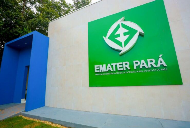 PSS tem vagas para níveis fundamental, médio e superior.