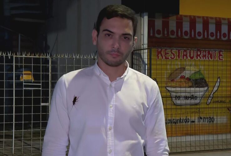 Barata estava na camisa do repórter antes da entrada ao vivo.