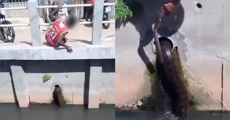 Cobra apareceu em canal no bairro do Curió-Utinga, em Belém.